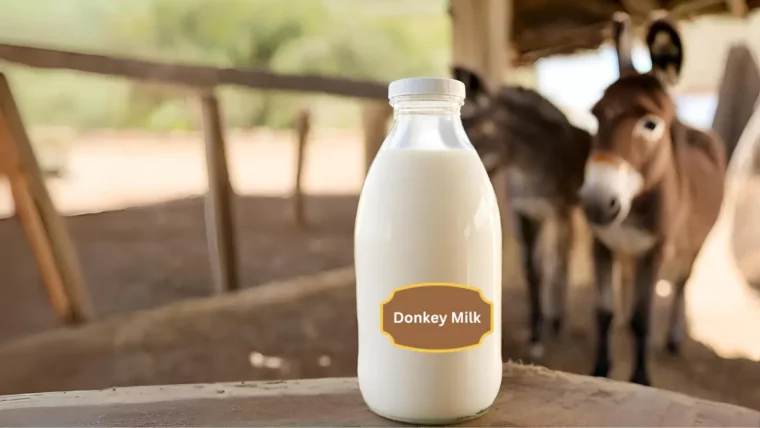 Donkey Milk Expensive